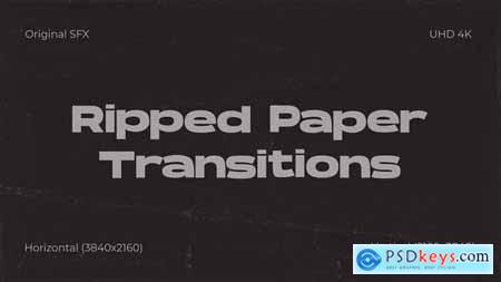 Ripped Paper Transitions 51800103
