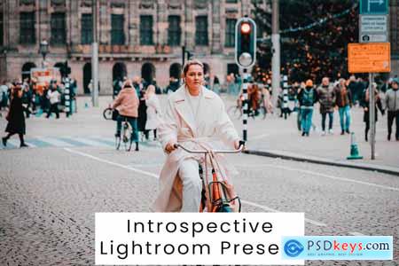 Introspective Lightroom Presets
