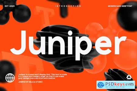 Juniper Modern Sans Display Font