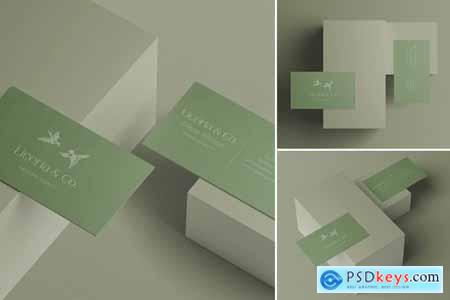 Business Card Mockup