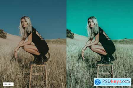 10 Landscape Lightroom Presets