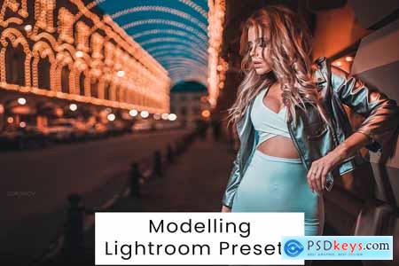 Modelling Lightroom Presets