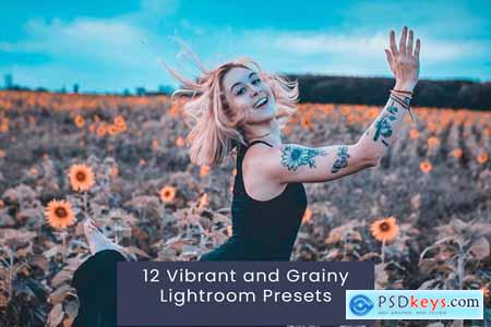 12 Vibrant and Grainy Lightroom Presets