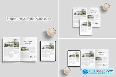 Top View Brochure & iPad Mockups