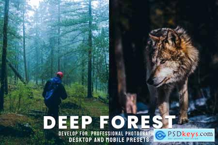 Deep Forest - Desktop and Mobile Presets
