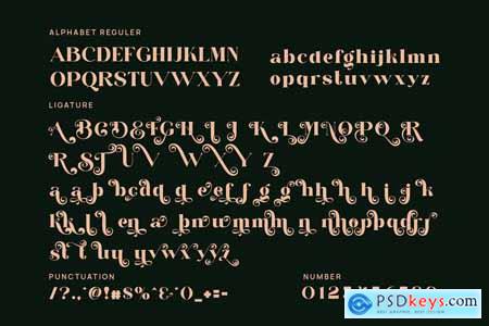 Fenita Elgone Elegant Serif Font Typeface