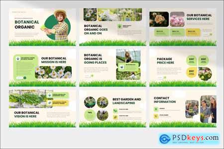 Botanical Business Presentation Template