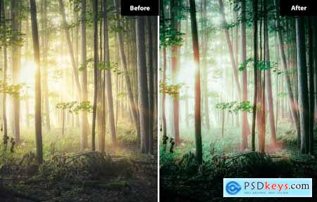 6 Forest Green Lighroom and Photoshop Presets