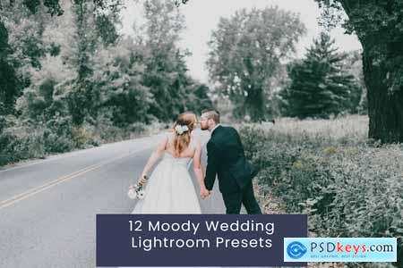 12 Moody Wedding Lightroom Presets