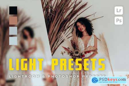 6 Light Lightroom and Photoshop Presets