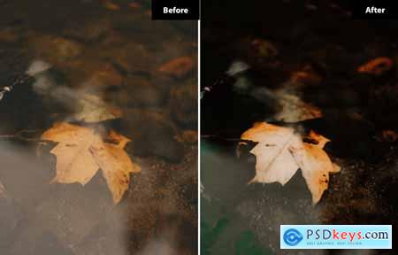 6 Autumn Leaves Lighreoom and Photoshop Presets