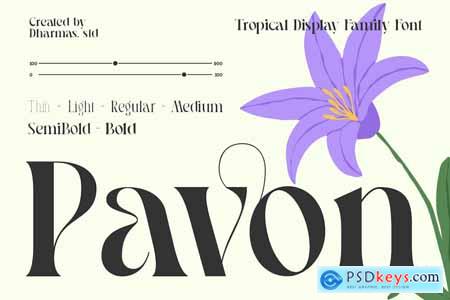 Pavon - Modern Luxury Font