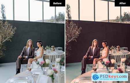 6 Minimalist Magic Wedding Lightroom and Photoshop