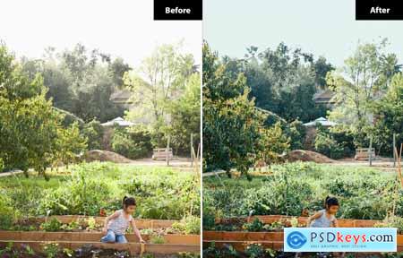 6 Garden Bliss Lightroom and Photoshop Presets