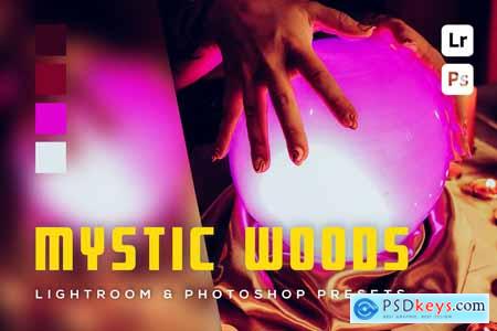 6 Mystic woods Lightroom and Photoshop Presets