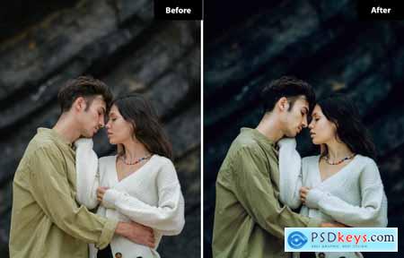 6 Romantic Elegance Lightroom and Photoshop Preset