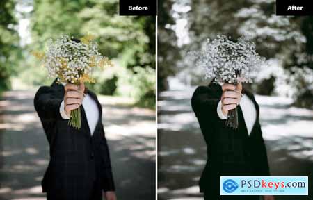 6 Rustic Romance Editorial Lightroom Presets