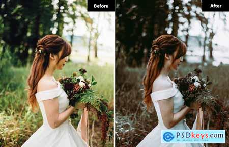 6 Ethereal Whimsy Wedding Lightroom Presets