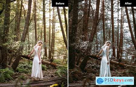 6 Ethereal Whimsy Wedding Lightroom Presets