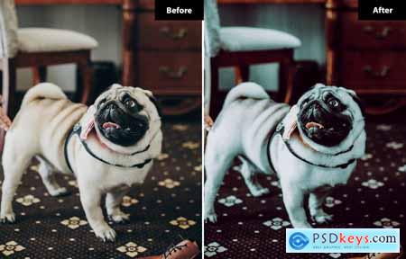 6 Modern Glam Wedding Lightroom Presets