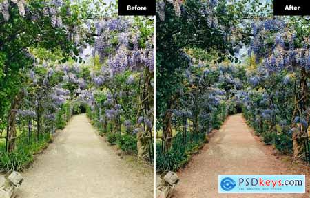 6 Garden Bliss Lightroom and Photoshop Presets