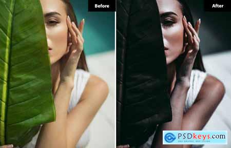 6 Classic Beauty Lightroom and Photoshop Presets