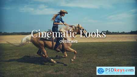 Cinematic Looks Overlay Toolkit for Premiere Pro 52898960
