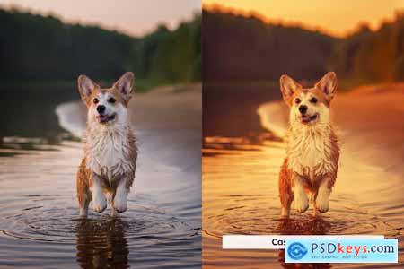 20 Golden Dusk Lightroom Presets and LUTs