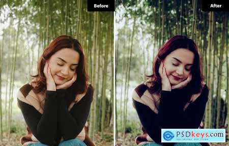 6 Bohemian Spirit Lightroom and Photoshop Presets