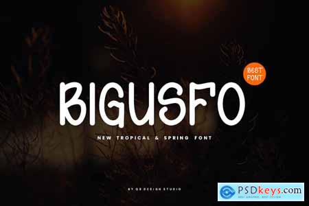 Bigusfo - Tropical & Spring Font