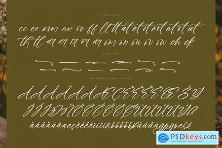 Font » page 8 » Free Download Photoshop Vector Stock image Via Torrent ...