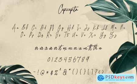 Cupicupita - Signature font