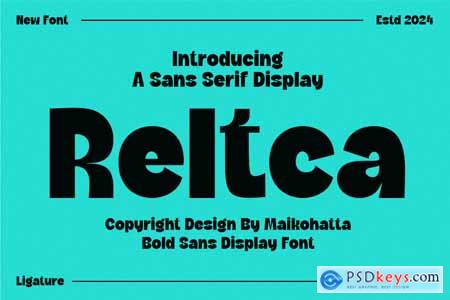 Reltca - Sans Serif Display Font