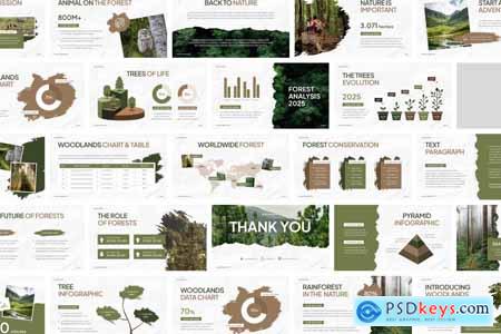 Outdoor Forest Presentation