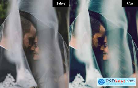 6 Classic Charm Wedding Lightroom and Photoshop Pr