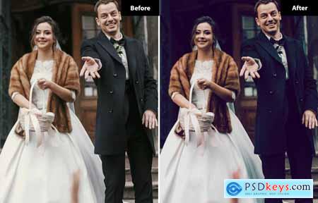 6 Classic Charm Wedding Lightroom and Photoshop Pr