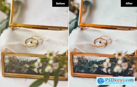 6 Enchanted Evening Wedding Lightroom Presets