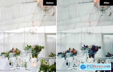 6 Enchanted Evening Wedding Lightroom Presets