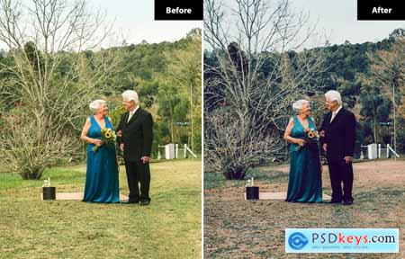 6 Classic Charm Wedding Lightroom and Photoshop Pr