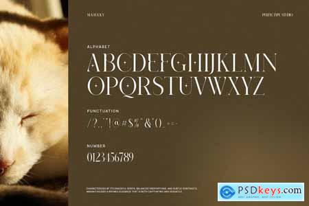 Mahaky Modern Elegant Serif Font Typeface