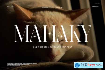 Mahaky Modern Elegant Serif Font Typeface