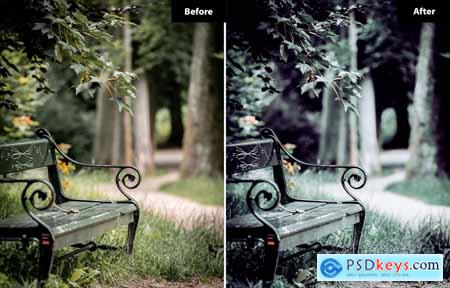 6 Serene Oasis Lightroom and Photoshop Presets