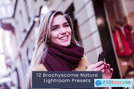 12 Brachyscome Nature Lightroom Presets