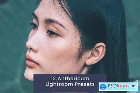 12 Anthericum Lightroom Presets