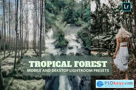 Tropical Forest Lightroom Presets Dekstop Mobile