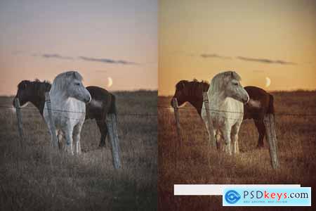 20 Magic Hour Lightroom Presets and LUTs
