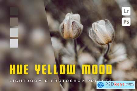 6 Hue Yellow Mood Lightroom and Photoshop Presets