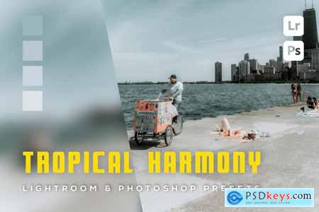 6 Tropical Harmony Lightroom and Photoshop Presets