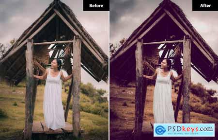 6 Indonesia Brown Lightroom and Photoshop Presets