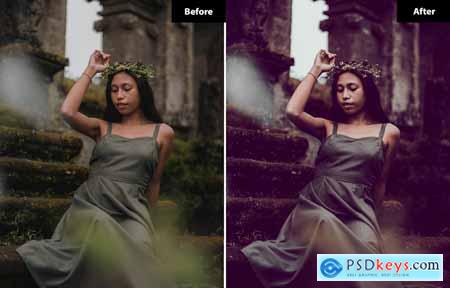 6 Indonesia Brown Lightroom and Photoshop Presets